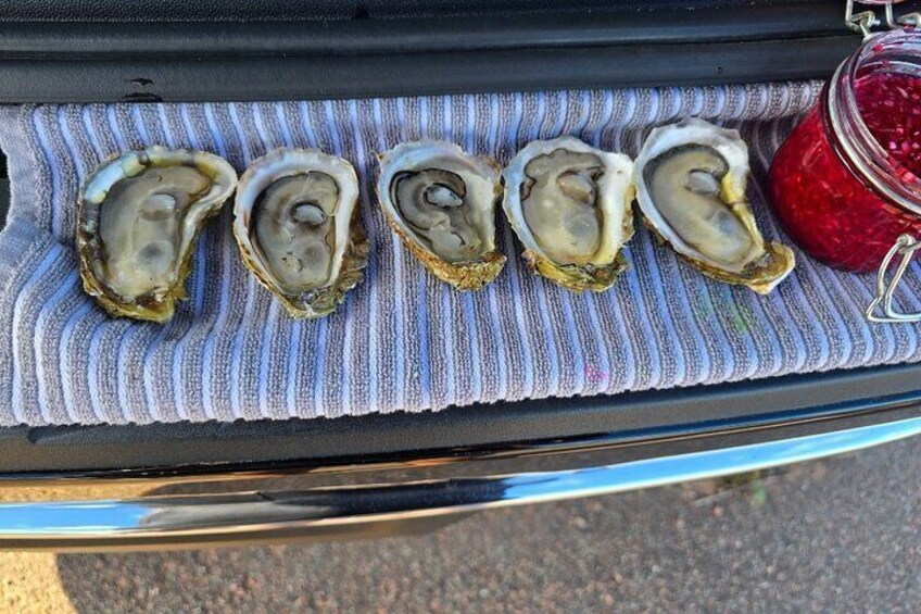 Beautiful fresh Prince Edward Island oysters!