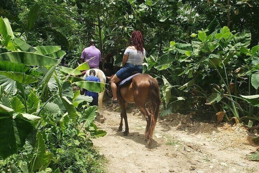 Private Tour to Dunns River and Horseback Riding with Local Guide