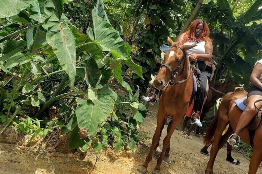 Private Tour to Dunns River and Horseback Riding with Local Guide