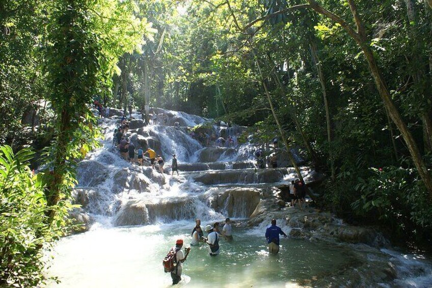 Private Tour to Dunns River and Horseback Riding with Local Guide