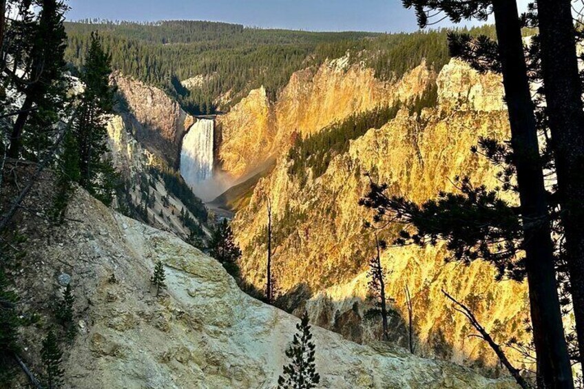 The Full Yellowstone 2 day Private Upper+Lower loop Tour Fr.Cody 