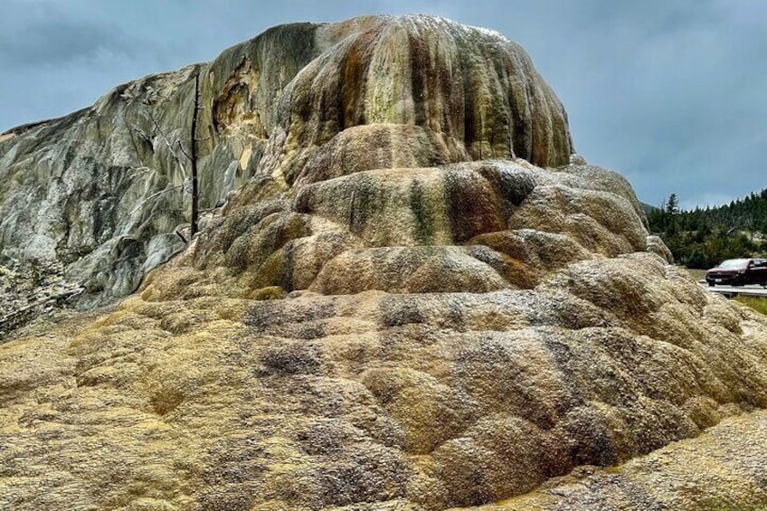 The Full Yellowstone 2 day Experience Upper and Lower loop tours