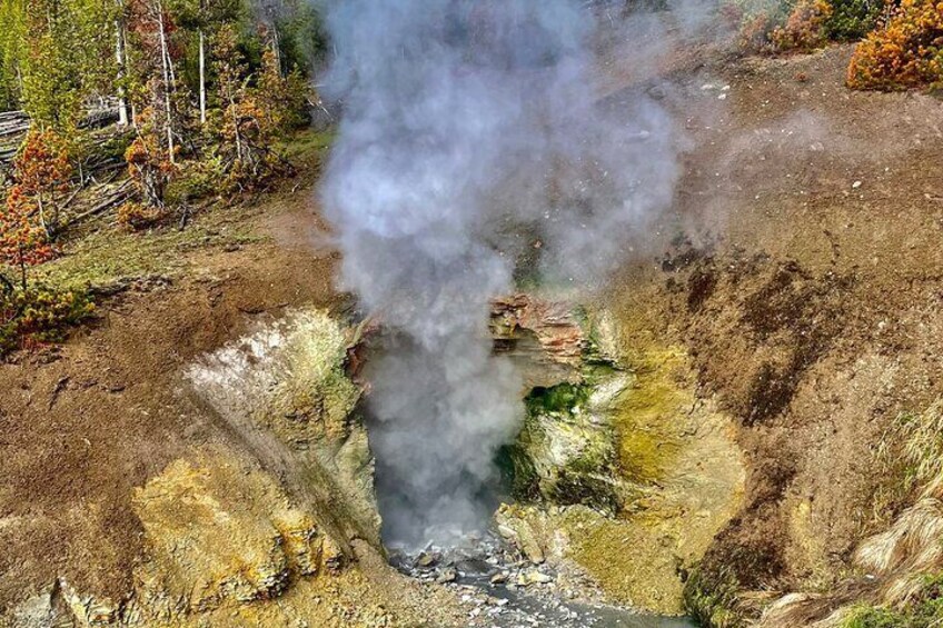 The Full Yellowstone 2 day Experience Upper and Lower loop tours 