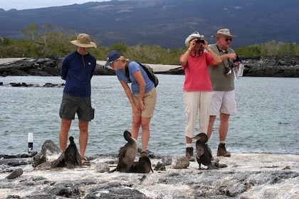 8 Day Full Pack Galapagos Multi-Sport Adventure (4-5 Island Tour)