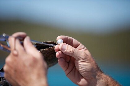 Guided Paspaley Pearl Farm Tour with Return Transfers