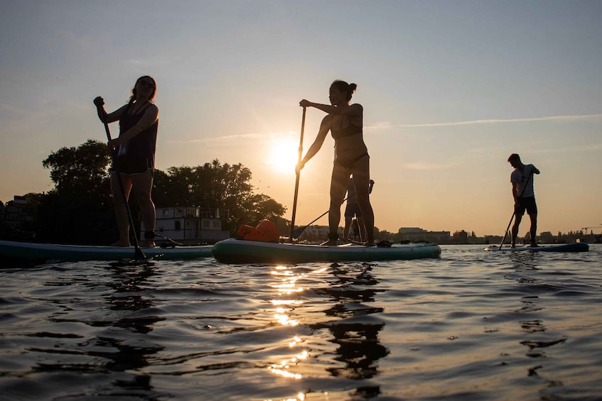 Picture 1 for Activity Berlin: SUP Sunset Tour to the Molecule Man