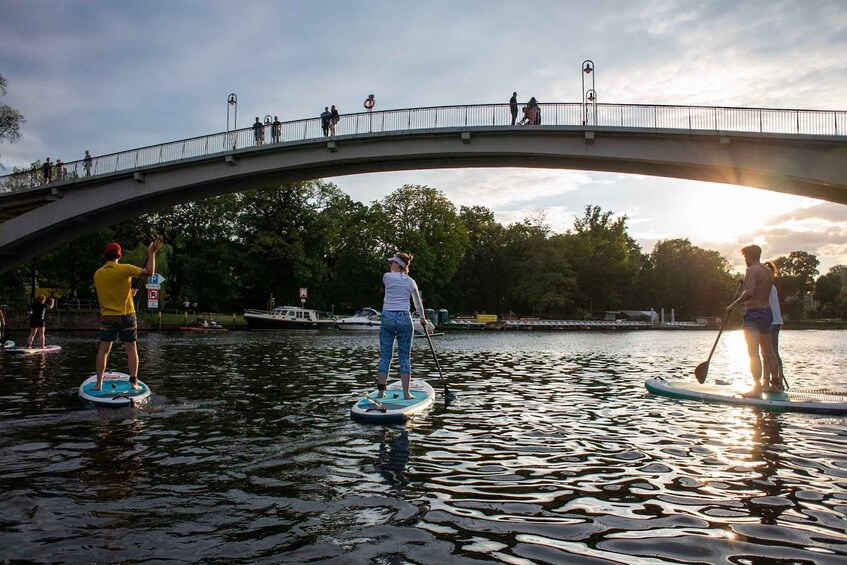 Picture 4 for Activity Berlin: SUP Sunset Tour to the Molecule Man