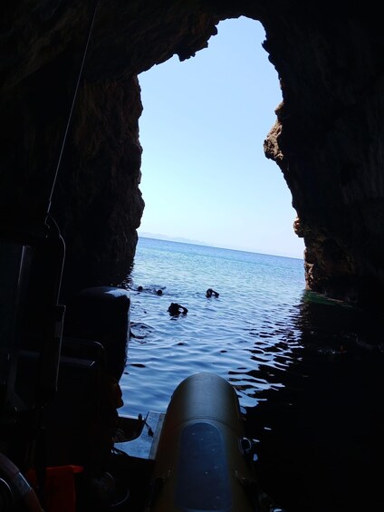 Picture 14 for Activity From Can Picafort: Dolphin Watching and Cave Boat Trip