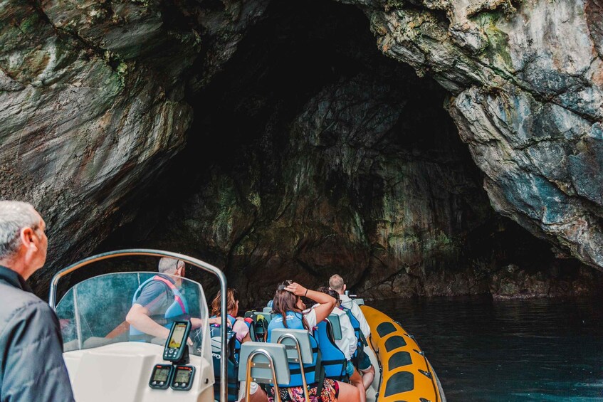 Picture 2 for Activity From Can Picafort: Dolphin Watching and Cave Boat Trip