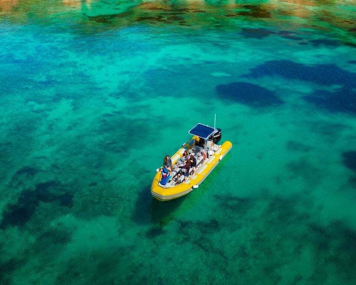 Picture 15 for Activity From Can Picafort: Dolphin Watching and Cave Boat Trip