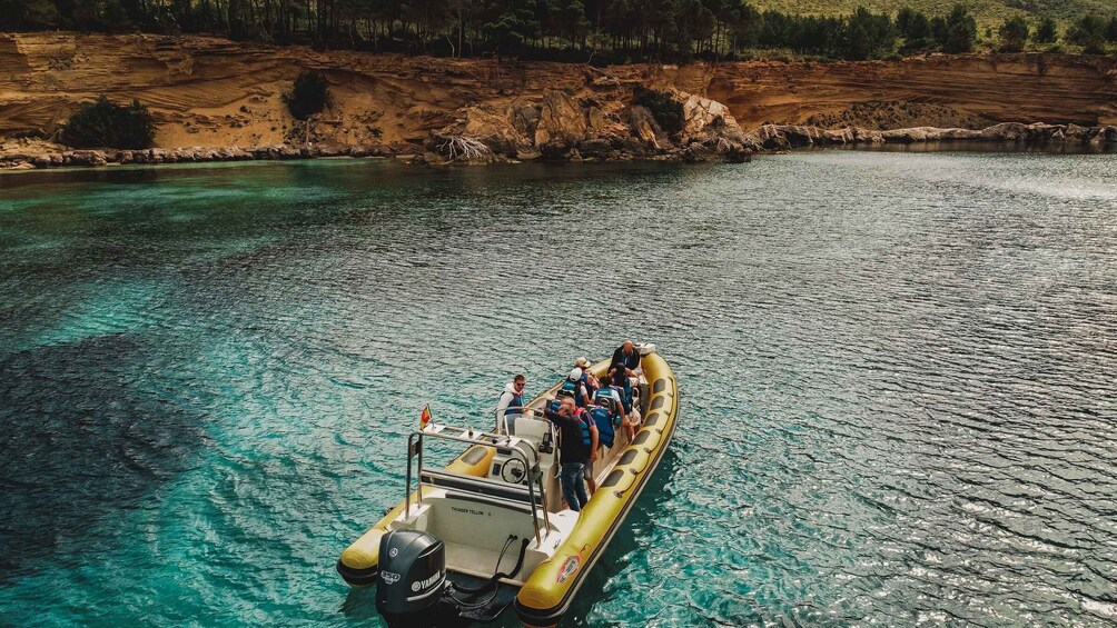 Picture 4 for Activity From Can Picafort: Dolphin Watching and Cave Boat Trip