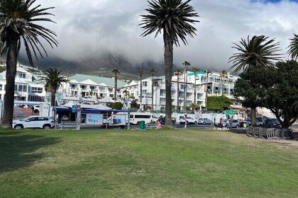 Visite privée d'une journée complète des plages du Cap