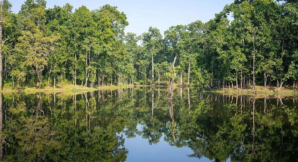 Picture 4 for Activity 2 Night 3 Days Chitwan National Park/From Kathmandu/Pokhra