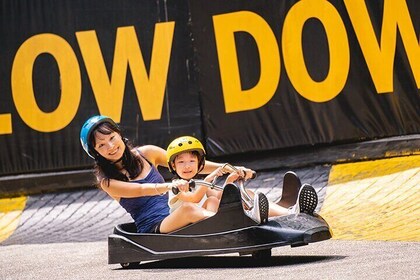 Skyline Luge and Sky Ride Ticket Sentosa Singapore