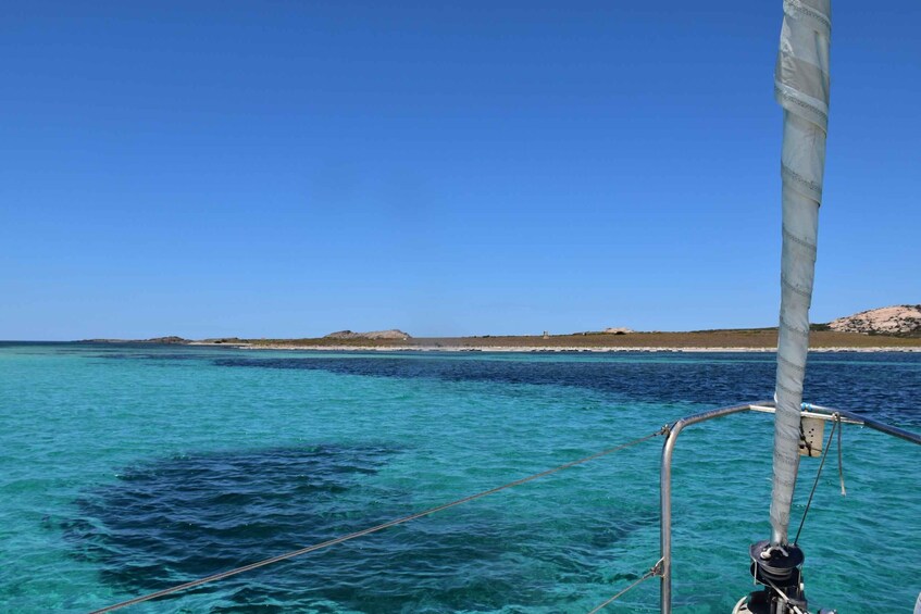 Picture 5 for Activity Asinara: sailing experience among the coves of the island