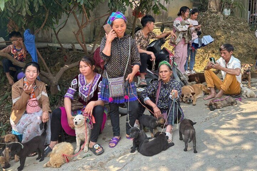 Bac Ha Sunday Market Tour (Private)