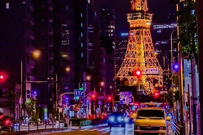 Tokyo Twilight Expedition Car Tour – Nighttime City Cruise!