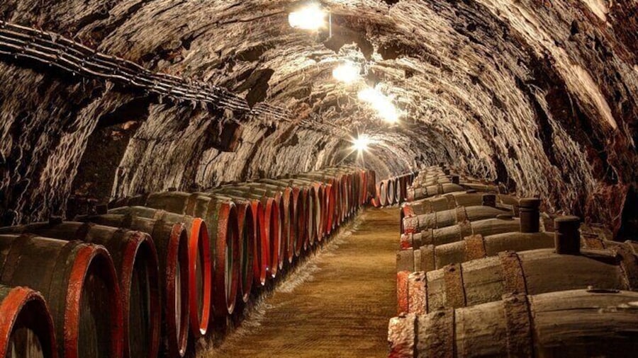 Tokaj Private Day Trip from Budapest