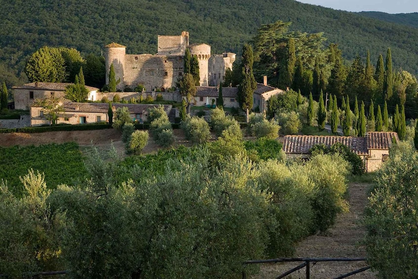 Picture 4 for Activity Wonderful Tuscan Wine Tour: Siena, Chianti and San Gimignano