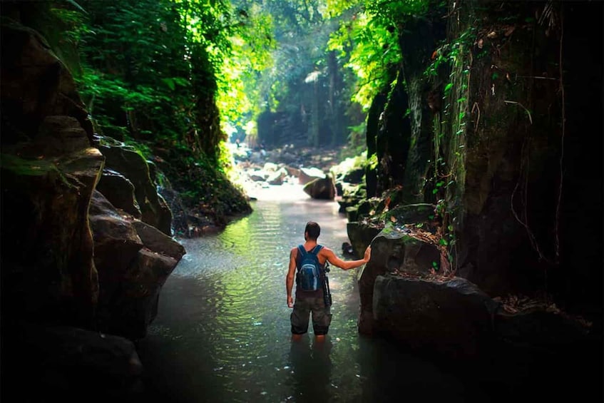 Drake Bay: Jungle Hiking and Canyoning Adventure with Lunch