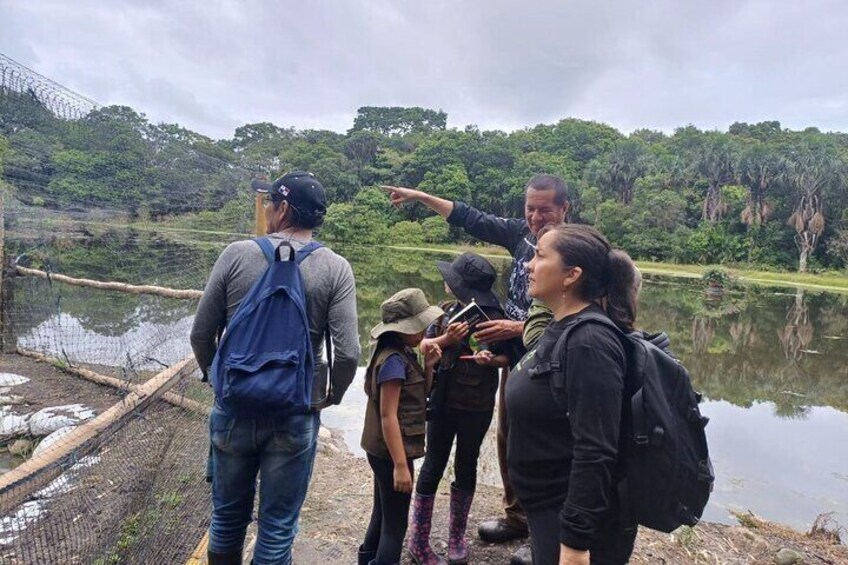 Private Bird Watching Acacias Meta Finca la Florida APA