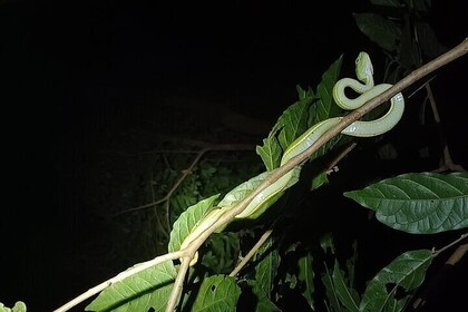 蒙特维多自然保护区