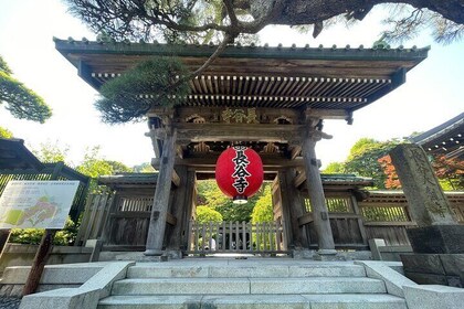 Kamakura: Largest Wooden Buddha, Temples, Cultural Experience