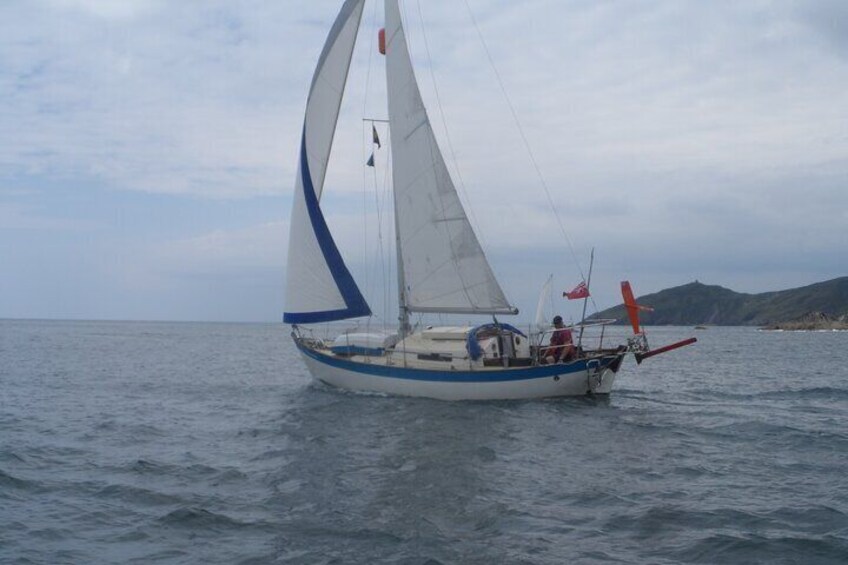 Private Boat Tour from Helford River