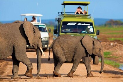 Nairobi 6 Day Tour Amboseli Tsavo West East National Parks