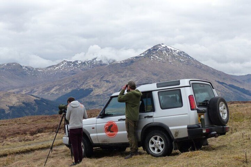 Wildlife watching in wild upland areas of northeast Loch Lomond & the Trossachs National Park.