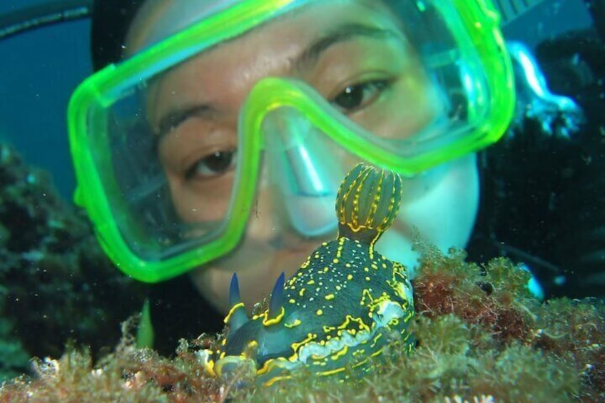 Intro Dive in Dubrovnik