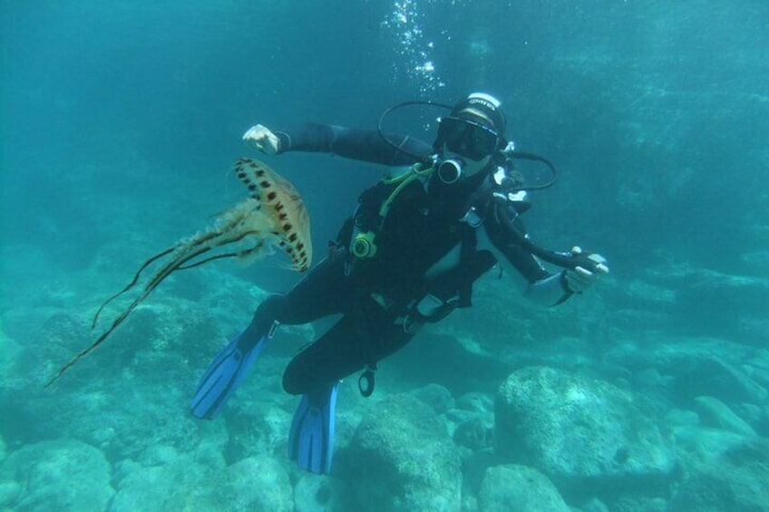 Intro Dive in Dubrovnik