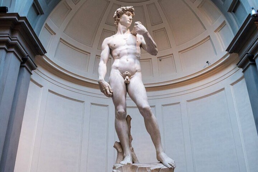 Intimate Evening Tour of Michelangelo's David at the Accademia Gallery, Florence