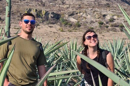 Flavors and Traditions: Handicrafts and Mezcal Tour in Oaxaca