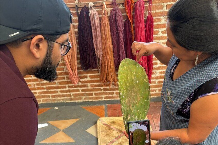 Flavors and Traditions: Handicrafts and Mezcal Tour in Oaxaca