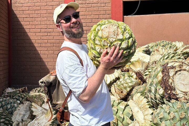 One day trip : Mezcal, Tlayudas & Textil