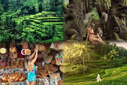 Ubud Half Day Private Tour with Pickup