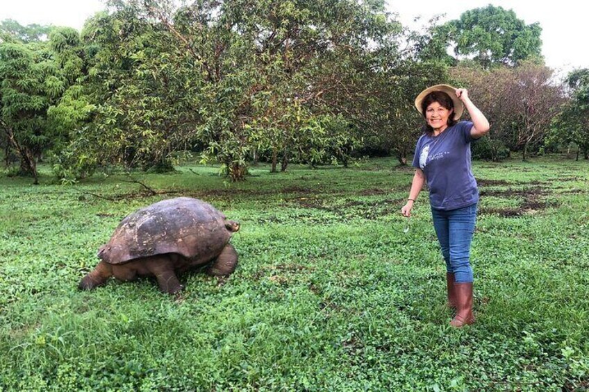 Epic 12-Day Island Hopping Dive Safari from Galapagos Ocean