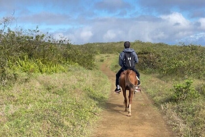 Sierra Negra Volcan Galapagos Équitation et randonnée