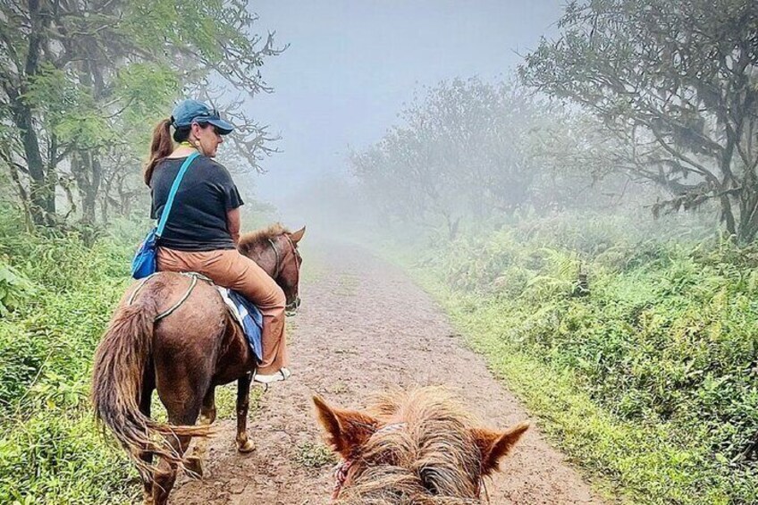 Sierra Negra Volcano Galapagos Horse Riding