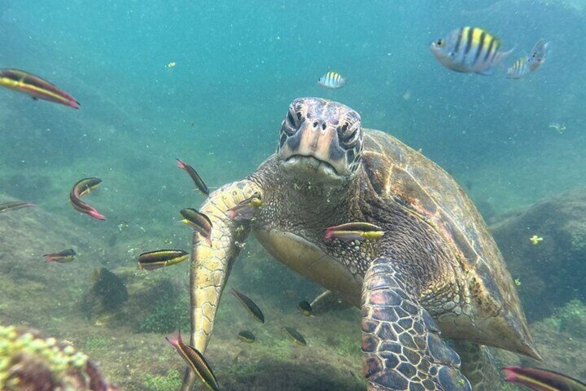 Multi Day Tour Around Galápagos Islands