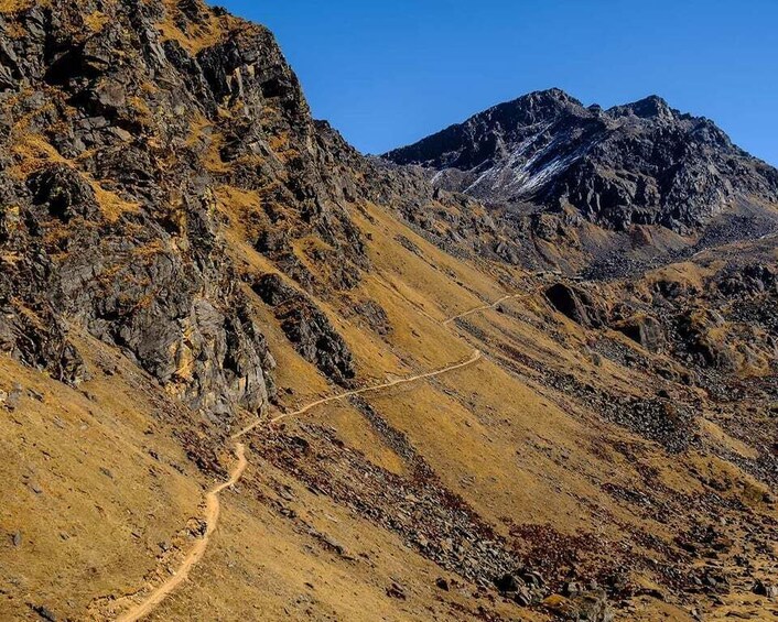 Picture 1 for Activity 7 Days Langtang Valley Trekking (From Kathmandu)