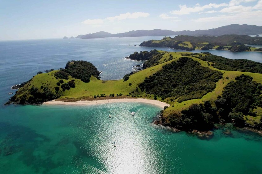 Picture 8 for Activity Private Sailing Charter | Bay of Islands | Up to 19 people