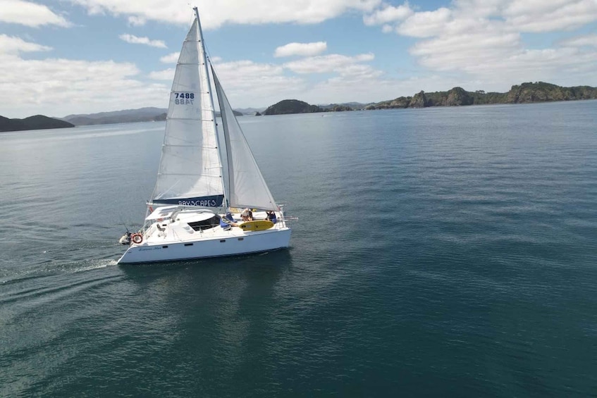 Picture 6 for Activity Private Sailing Charter | Bay of Islands | Up to 19 people