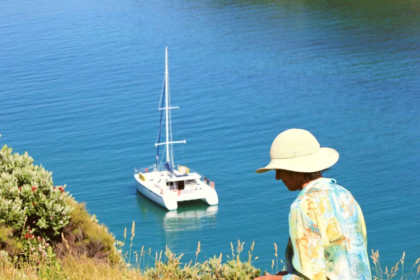 Picture 2 for Activity Private Sailing Charter | Bay of Islands | Up to 19 people