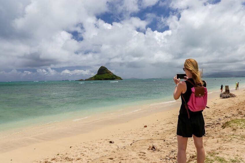 Grand Tour Around Oahu- Swim at Waterfall & Turtle Beach