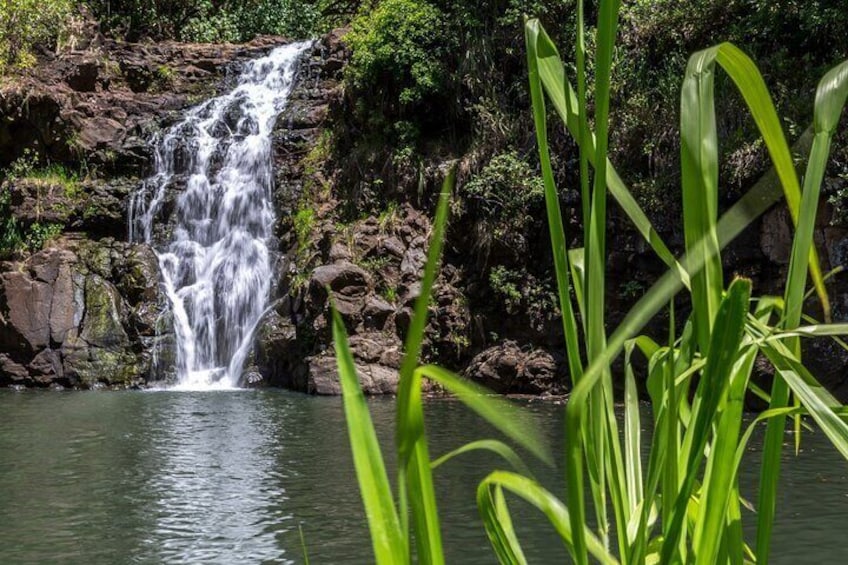 Grand Tour Around Oahu- Swim at Waterfall & Turtle Beach