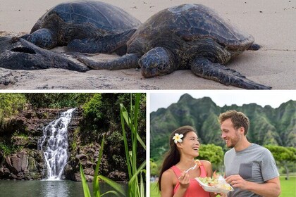 Grand Tour Around Oahu- Swim at Waterfall & Snorkel W/ Turtles