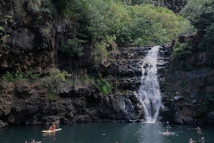 PRIVATE TOUR- North Shore Highlights with Waterfall