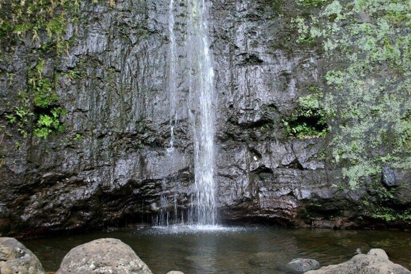 PRIVATE TOUR-Hike Diamond Head & Hawaiian Waterfall